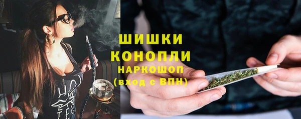 соль ск Богданович