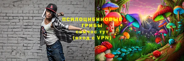 соль ск Богданович
