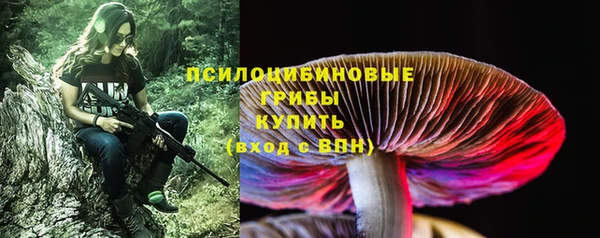 2c-b Богородск