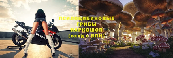 соль ск Богданович