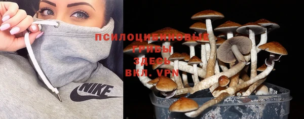 экстази Богородицк