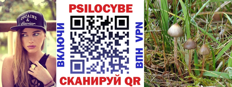 Галлюциногенные грибы Cubensis  купить наркотик  Славгород 