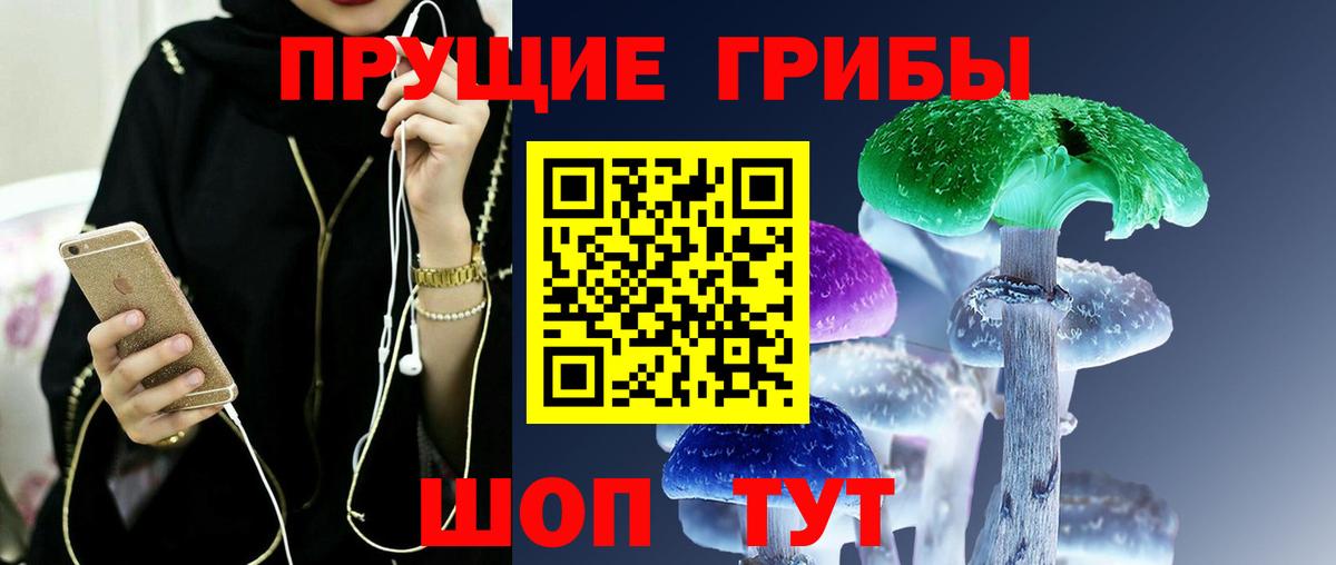 Псилоцибиновые грибы GOLDEN TEACHER Славгород