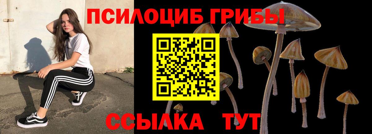 Галлюциногенные грибы MAGIC MUSHROOMS  Вход с VPN  Славгород 